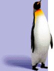 pingwin.GIF (3574 bytes)