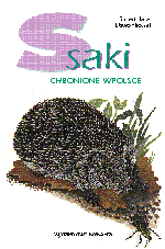 Ssaki chronione w Polsce